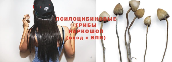mix Алексин