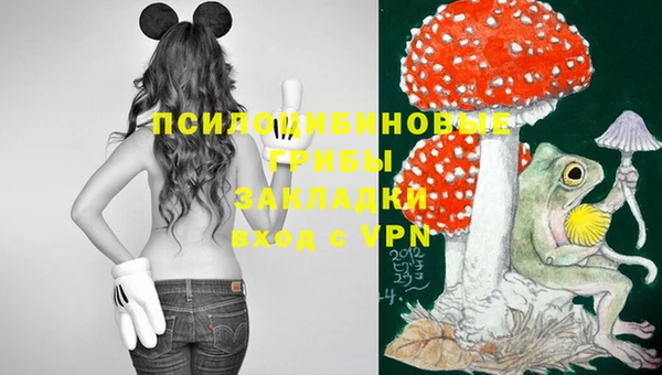 мяу мяу мука Абинск